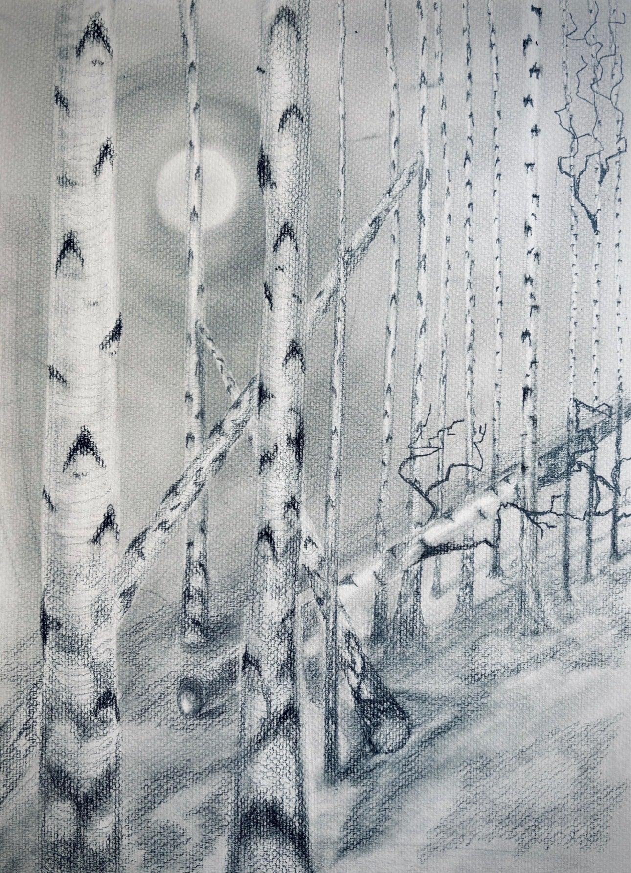 Birches
